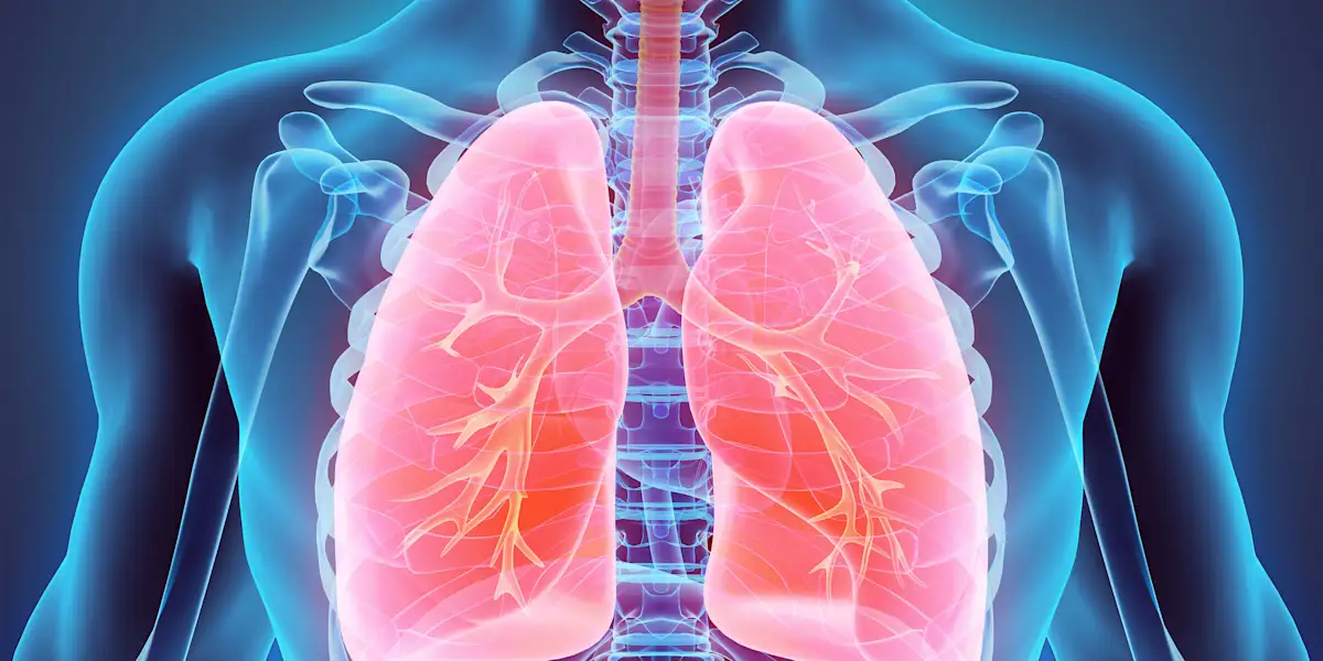 10 Daily Habits to Keep Your Lungs and Chest Strong